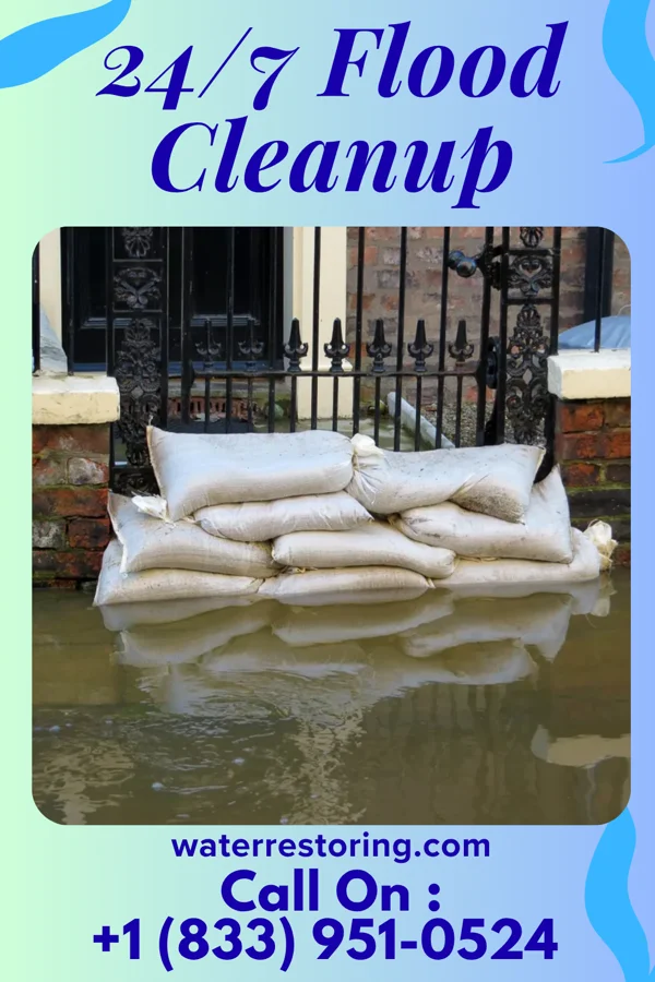 24/7 Flood Cleanup in Lake Ripley, WI