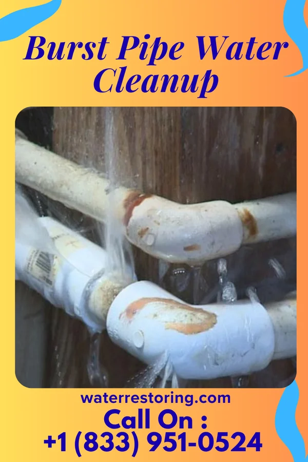Burst Pipe Water Cleanup in Lake Ripley, WI