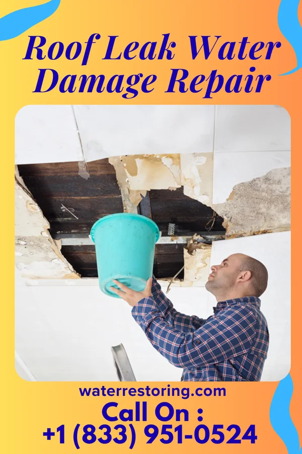 Roof Leak Water Damage Repair in Lake Ripley, WI