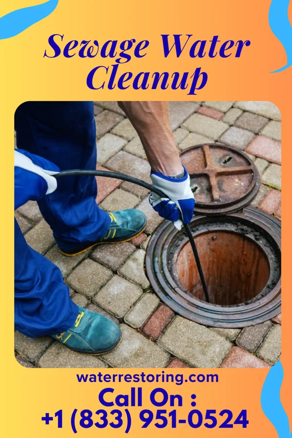 Sewage Water Cleanup in Lake Ripley, WI